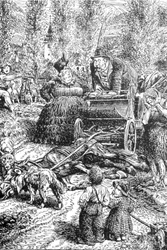 Illustration for the Book Zaplankar